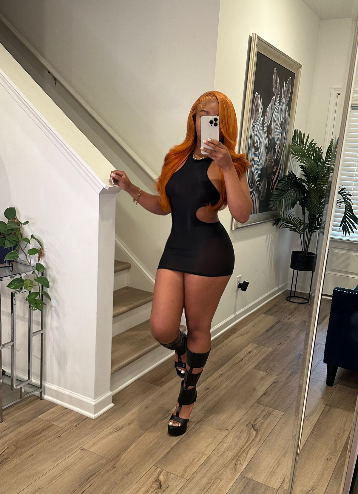 Mesh Cut Out Dress